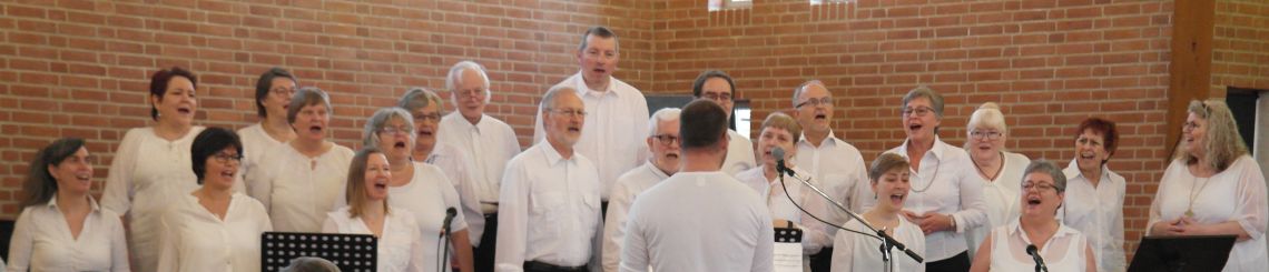 Birkebjerg gospelkor